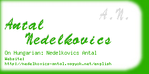 antal nedelkovics business card
